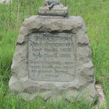 MEAD Ellen 1845-1898