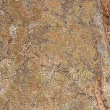 FERGUSON Lewis -1875