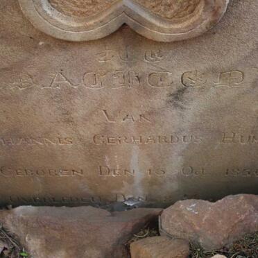 HUMAN Johannes Gerhardus 1869-