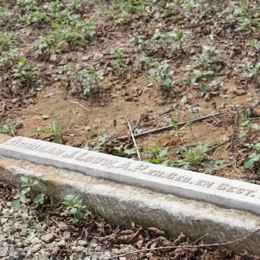 LOUW Adriaan J. 1859-1935 :: LOUW Adriaan J. 1917-1917 :: LOUW Charlotte Louise 1896-1970 :: LOUW Maria J. nee ROWAN 1860-1920