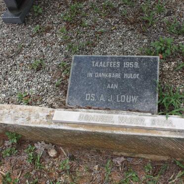 LOUW Adriaan J. 1859-1935 :: LOUW Adriaan J. 1917-1917 :: LOUW Charlotte Louise 1896-1970 :: LOUW Maria J. nee ROWAN 1860-1920