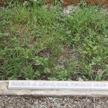 LOUW Adriaan J. 1859-1935 :: LOUW Adriaan J. 1917-1917 :: LOUW Charlotte Louise 1896-1970 :: LOUW Maria J. nee ROWAN 1860-1920