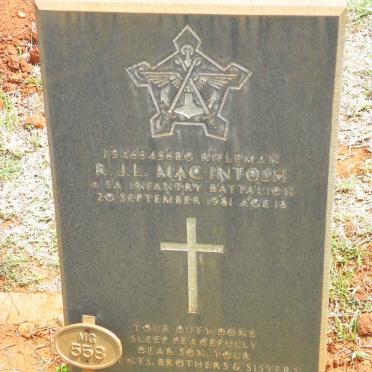 MACINTOSH R.J.L. -1981