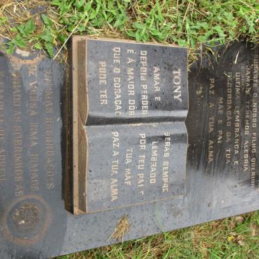 ? Manuel J. 1950-1985 :: ? Antonio 1964-1991