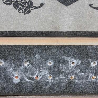 ? Veronica Ann 1963-1983