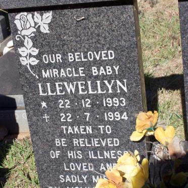 ? Llewellyn 1993-1994