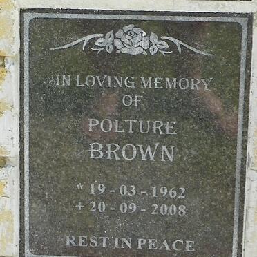 BROWN Polture 1962-2008