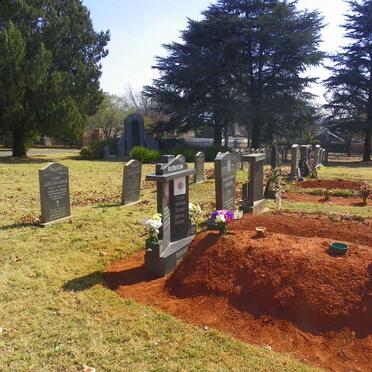 3. Overview / Oorsig