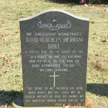 BRIEL David Hercules 1973-1992