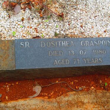 GRASPOINTNER Dosithea -1980