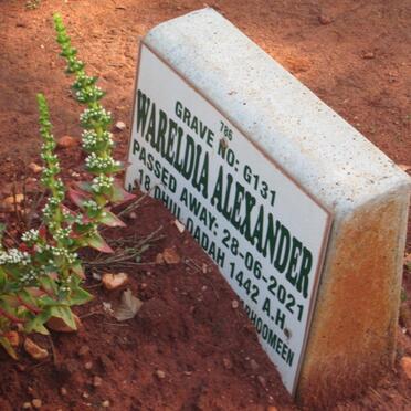 ALEXANDER Wareldia -2021