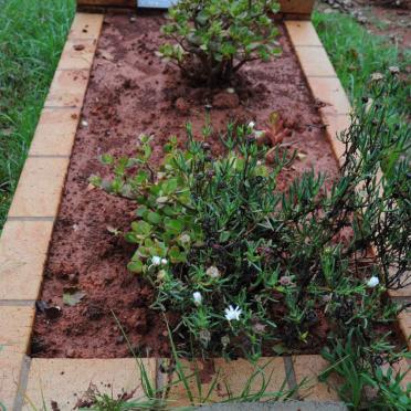 AFZAL Muhammad Sohail -2020