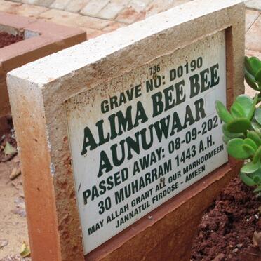 AUNUWAAR Alima Bee Bee -2021