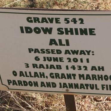 ALI Idow Shine -2011