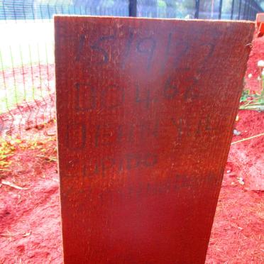 CUPIDO Dean Yul -2022