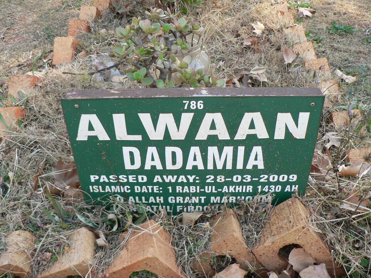 DADAMIA Alwaan -2009