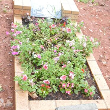 EBRAHIM Ismail -2021