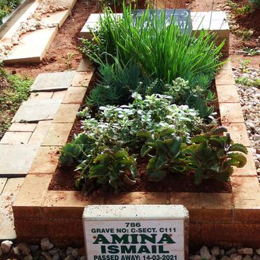 ISMAIL Amina -2021