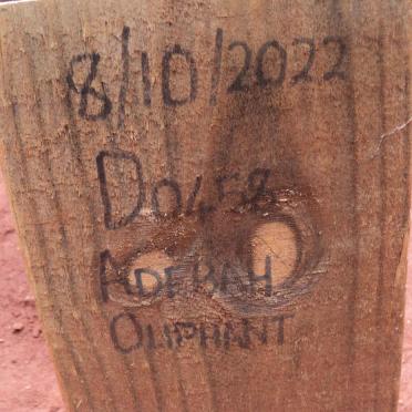 OLIPHANT Adebah -2022