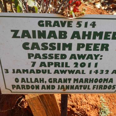 PEER Zainab Ahmed Cassim -2011