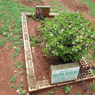 RASSULMIA Smile Mia -2015