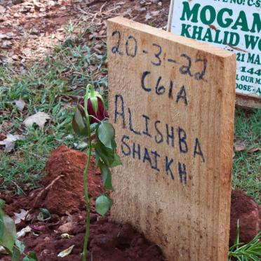 SHAIKH Alishba -2022