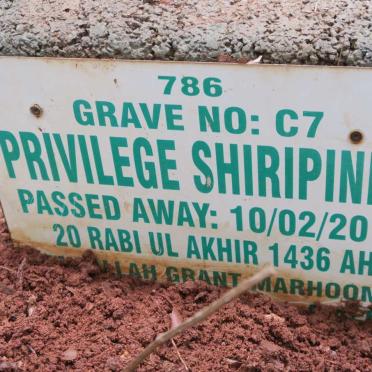 SHIRIPINDA Privilege -2015