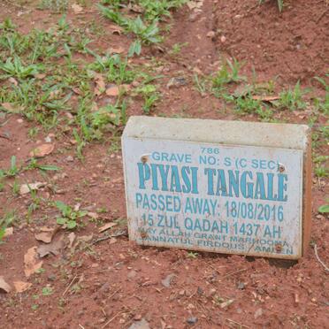 TANGALE Piyasi -2016