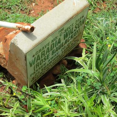 WILSON Waradia -2017