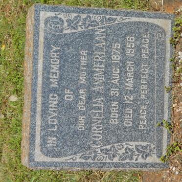 AMMERLAAN Cornelia 1875-1956