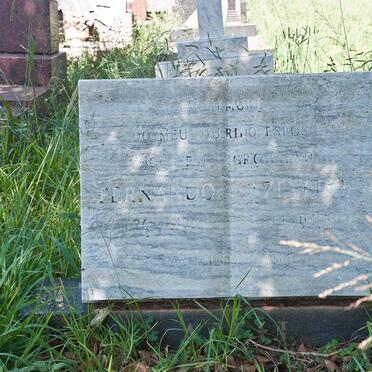 AZEVEDO Fernando 1914-1981