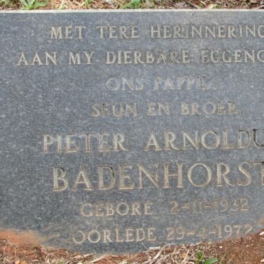 BADENHORST Pieter Arnoldus 1932-1972