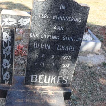 BEUKES Bevin Charl 1973-1977