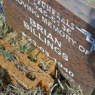 BILLINGS Brian 1940-2007