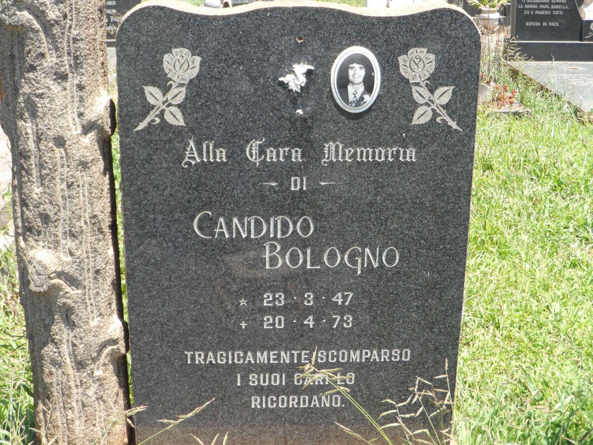 BOLOGNO Candido 1947-1973