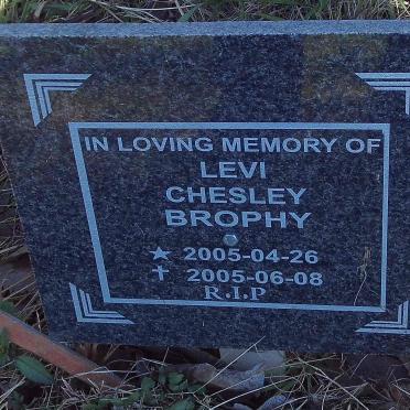 BROPHY Levi Chesley 2005-2005