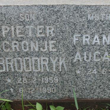 BROODRYK Francis Aucamp 1935- :: BROODRYK Pieter Cronje 1959-1990