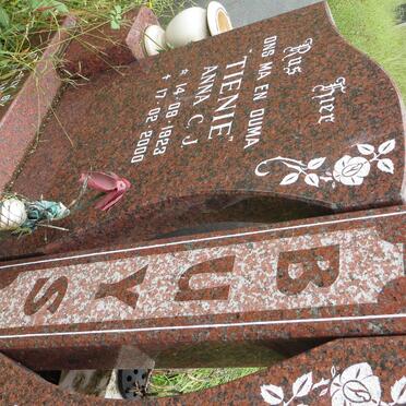 BUYS Johannes Hendrik 1924-1995 &amp; Anna C.J. 1923-2000