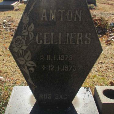 CELLIERS Anton 1973-1973