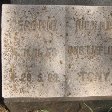 CERONIO Tony 1953-1968