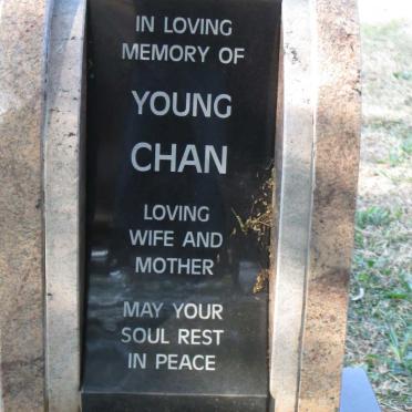 CHAN Young 1941-1998