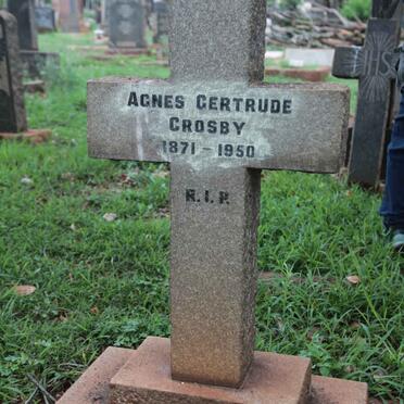CROSBY Agnes Gertrude 1871-1950