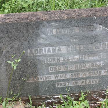CULLINGWORTH Adriana 1882-1952
