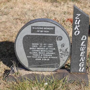 DLWENGU Zuko 1985-2001