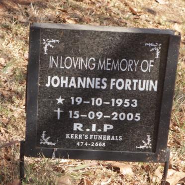 FORTUIN Johannes 1953-2005