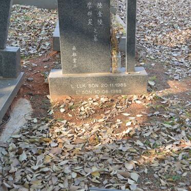 FOK Shee Ming 1937-2001 :: SON L. Luk -1985 :: SON L. -1989