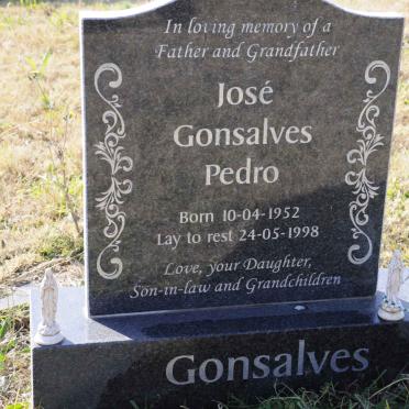GONSALVES Jose Gonsalves Pedro 1952-1998
