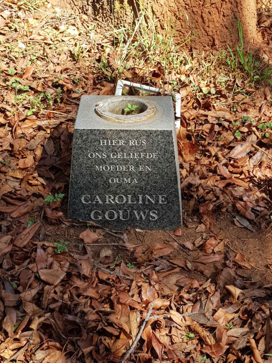 GOUWS Caroline