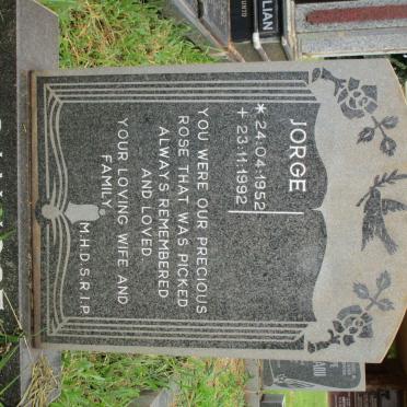 JOSE Jorge, San 1952-1992