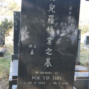 LOO Pok Yip 1953-1990